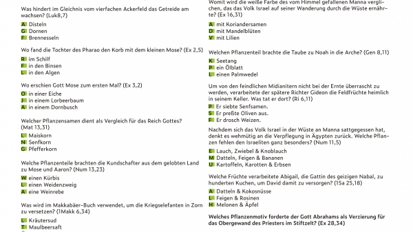 Materialblatt mit dem Bibelquiz zum Thema "Pflanzen in der Bibel"